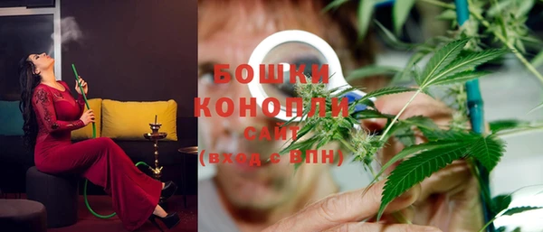 первитин Каменногорск