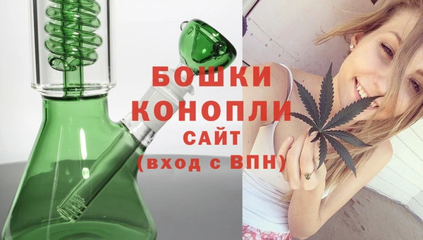 первитин Каменногорск
