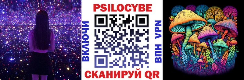 Галлюциногенные грибы Psilocybe  Купить закладки  Верхняя Пышма 